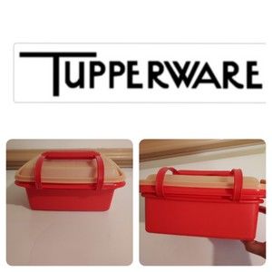 Vintage 1970's Tupperware Ice Cream Keeper Lunchbox 1254